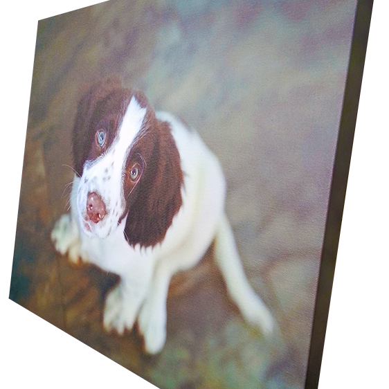 Canvas_dog