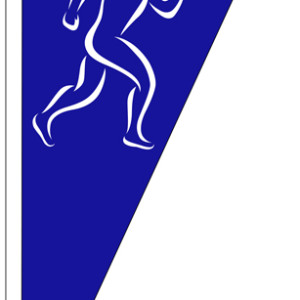 SSO_flag